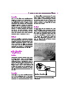 Thumbnail of page 3