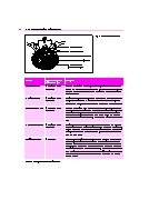 Thumbnail of page 2