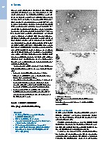 Thumbnail of page 1