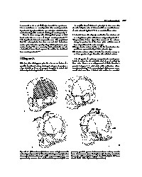 Thumbnail of page 3