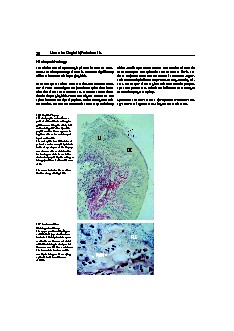 Thumbnail of page 2