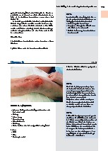 Thumbnail of page 3