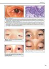 Thumbnail of page 3