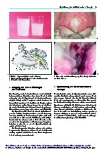 Thumbnail of page 2