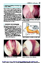 Thumbnail of page 2