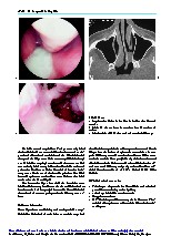 Thumbnail of page 3
