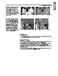 Thumbnail of page 2