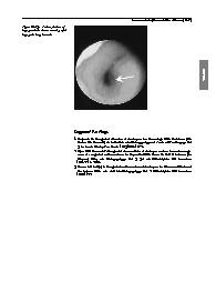 Thumbnail of page 3
