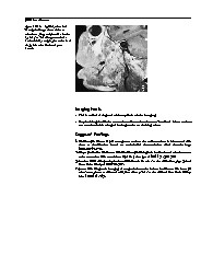 Thumbnail of page 2