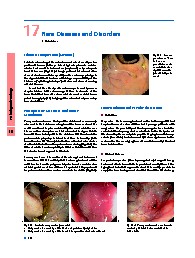 Thumbnail of page 1