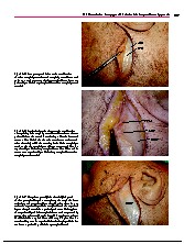 Thumbnail of page 2