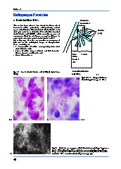 Thumbnail of page 1