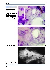 Thumbnail of page 3