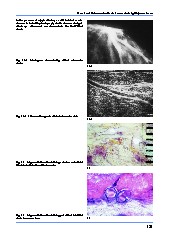 Thumbnail of page 3