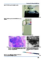 Thumbnail of page 2