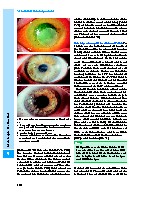 Thumbnail of page 3