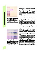 Thumbnail of page 3