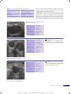 Thumbnail of page 3