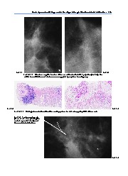Thumbnail of page 2