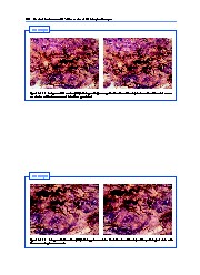 Thumbnail of page 2
