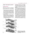 Thumbnail of page 3