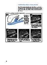 Thumbnail of page 3