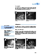 Thumbnail of page 3