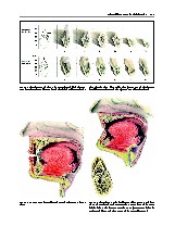 Thumbnail of page 2