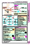 Thumbnail of page 2