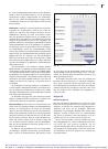Thumbnail of page 3