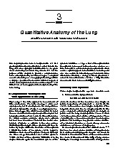 Thumbnail of page 1