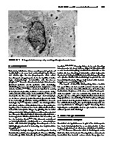 Thumbnail of page 1