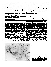 Thumbnail of page 1