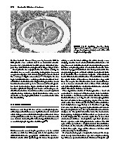 Thumbnail of page 1