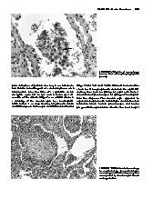 Thumbnail of page 2