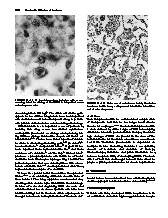Thumbnail of page 1