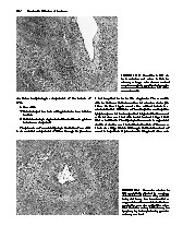 Thumbnail of page 2