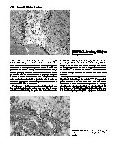 Thumbnail of page 3