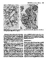 Thumbnail of page 3