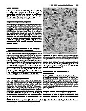 Thumbnail of page 1