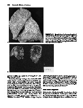 Thumbnail of page 3
