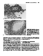 Thumbnail of page 2