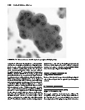 Thumbnail of page 1