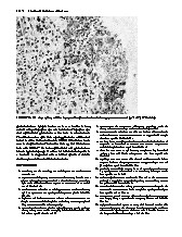 Thumbnail of page 2