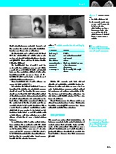 Thumbnail of page 3