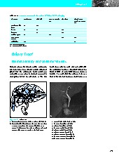Thumbnail of page 1