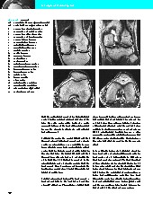 Thumbnail of page 3