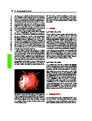 Thumbnail of page 3
