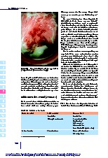Thumbnail of page 1