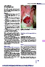 Thumbnail of page 1